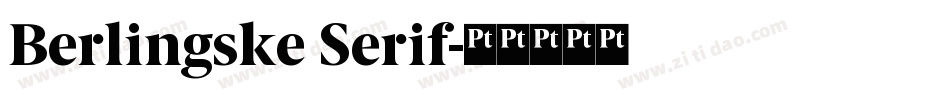 Berlingske Serif字体转换